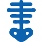 radiologie standard